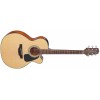 Takamine GN15CE-NAT