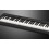 Casio CDP-S100