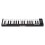 Alesis QMini