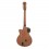 Epiphone SST Coupe