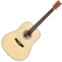 SX Guitars SD304G