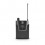 LD Systems U306 IEM HP
