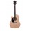 Prodipe Guitars LH SD25 CEQ