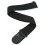 D-Addario PWS100