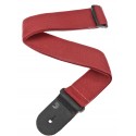D-Addario PWS101