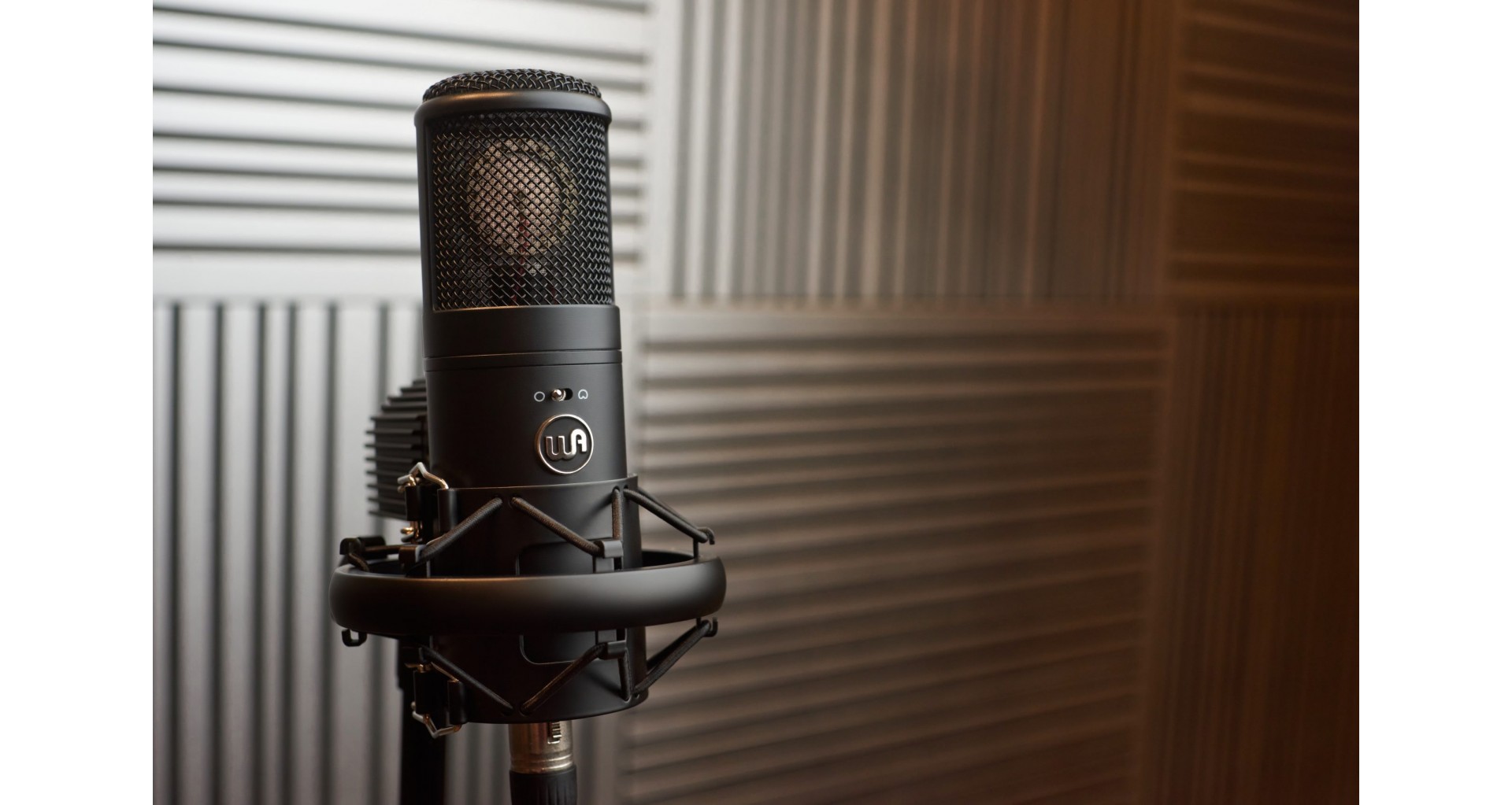 Warm Audio WA-8000 Microfon condenser cu lampa - Zeedo Shop