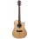 Aria 215CE N