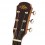 Aria 215CE N