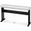Casio CS-46 P STAND