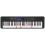 Casio LK-S450
