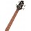 Cort Action Plus TR