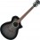 Ibanez AEWC11-TCB