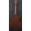 Ibanez AEWC11-TCB