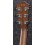 Ibanez AEWC11-TCB