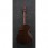 Ibanez AEWC300N-NNB