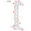 Showgear Mobile DJ Truss Stand