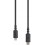 Lewitt CONNECT C2L