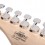 Cort G110-OPBC