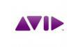 Avid